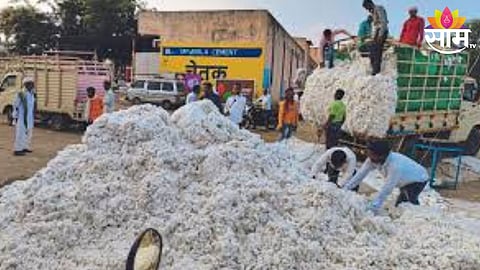 Cotton Price