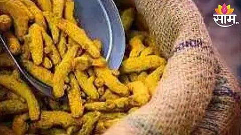 Turmeric Price