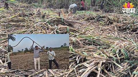 Farmer Success Story
