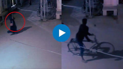 Viral Vide