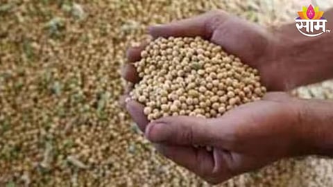 Soabean Price