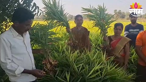 Farmer Success Story