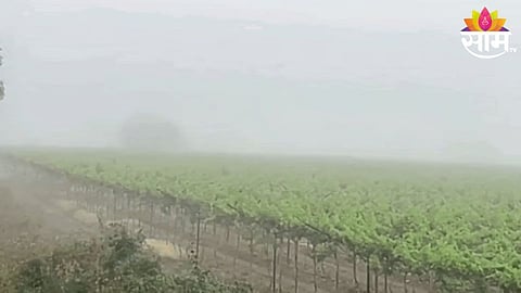 Agriculture News