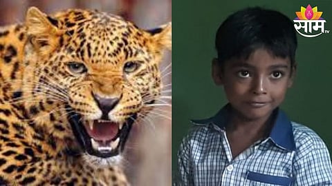 Leopard Attack