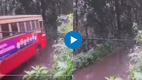 Viral Video