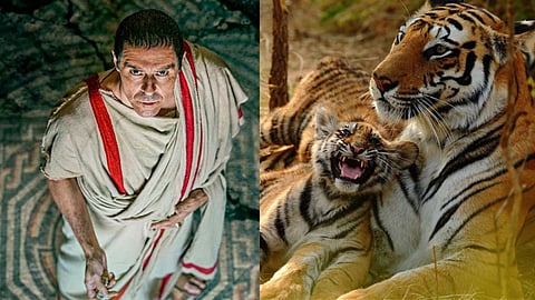 Thriller Shows List 