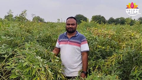 Beed News