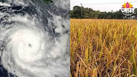 Fengal Cyclone