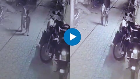Viral Video