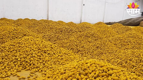 Turmeric Price