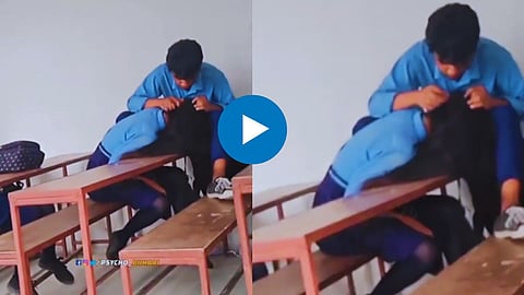 Funny Viral Video