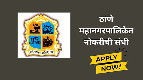Government Job
