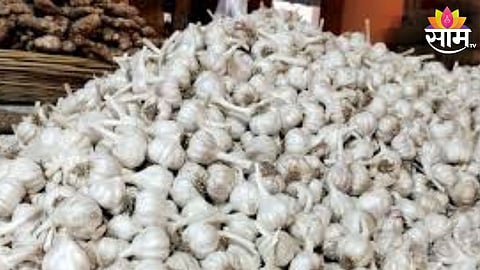 Garlic Price