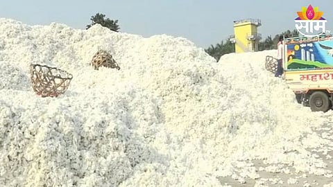 Cotton Price