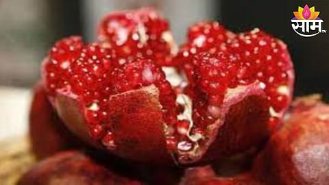Pomegranate Price