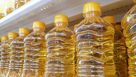  Seed oil