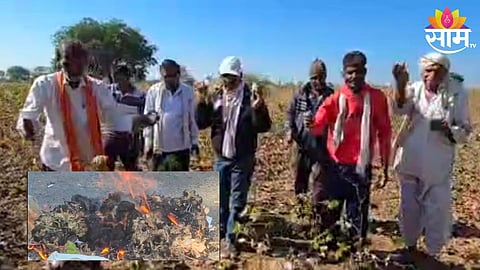 Yavatmal News