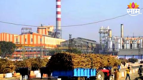 Sugar Factory
