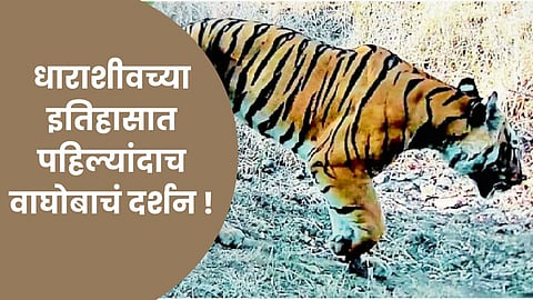 Dharashiv News