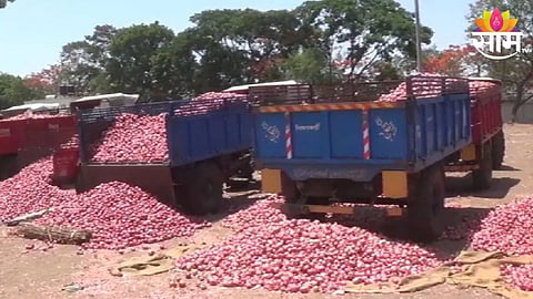 Onion Price