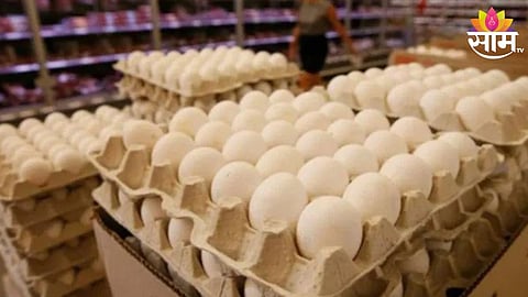 Egg Price Hike