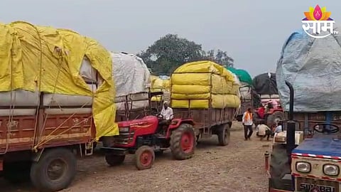 Cotton Price
