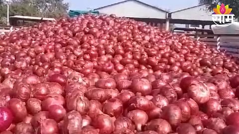 Onion Price
