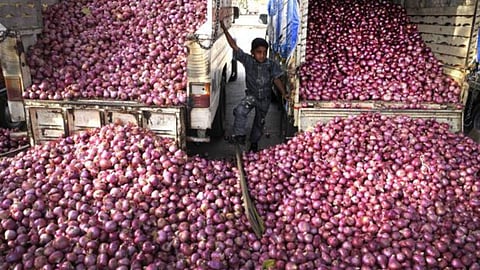 Onion Farmer