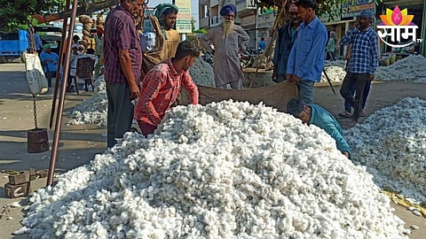 Cotton Price