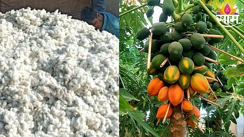 Agriculture News