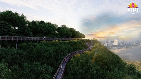 Elevated Forest Walkway: मुंबईत तयार होतोय पहिला एलिवेटेड फॉरेस्ट वॉकवे, कसा आहे BMCचा ड्रीम प्रोजेक्ट; कधीपासून होणार सुरू?