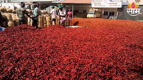 Red Chilli Market