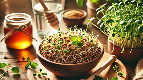 Fenugreek Benefits