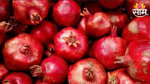 Pomegranate Price