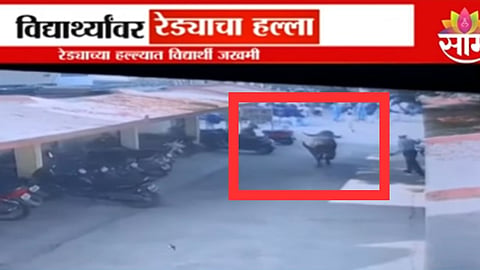 Buffalo Attack On Students