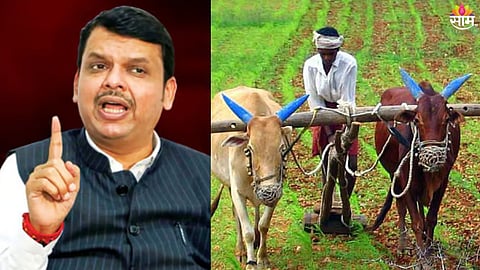 फडणवीस सरकारचा मोठा निर्णय, नेमका कुणाला लाभ?