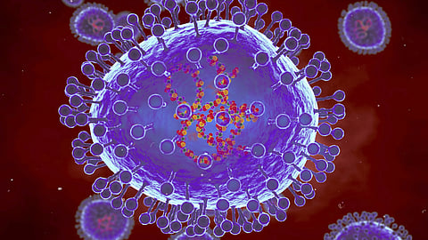HMPV Virus