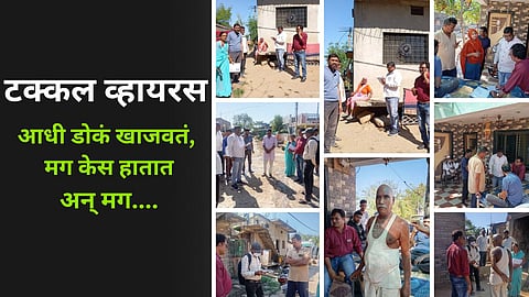 Latest Buldhana News in Marathi 