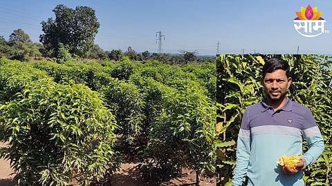 Farmer Success Story