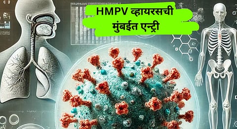 HMPV Virus