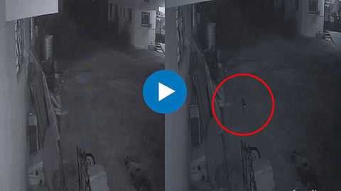 Pune Viral Video: