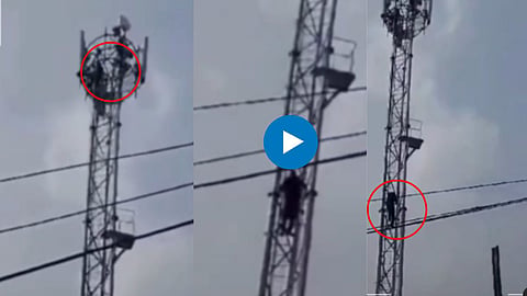 Shocking Video