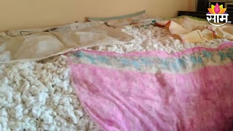 Cotton Price