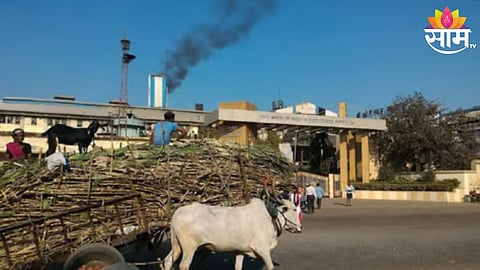 Sangli Sugar Factory