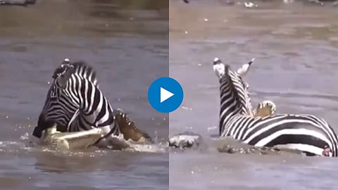 Viral Video