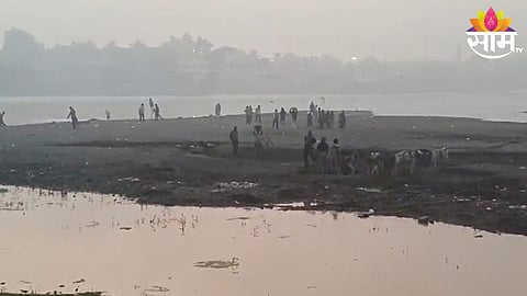 Sand Mafia
