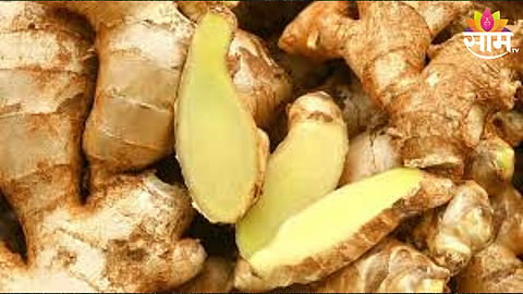 Ginger Price