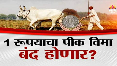 Crop Insurance Scheme: १ रुपयाचा पीक विमा योजना बंद होणार? बोगस अर्जांमुळे समितीची शिफारस 