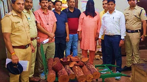 Red Sandalwood Smuggling