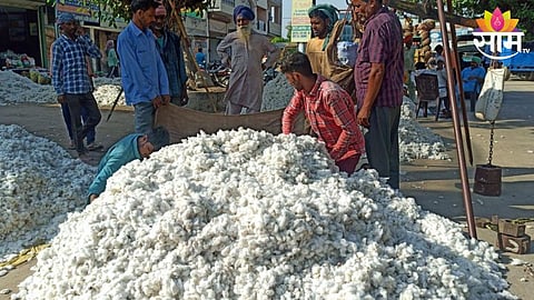 Cotton Price